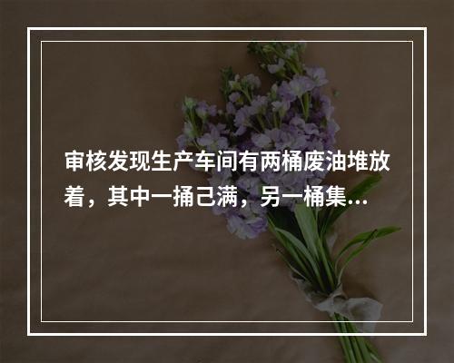 审核发现生产车间有两桶废油堆放着，其中一捅己满，另一桶集满半