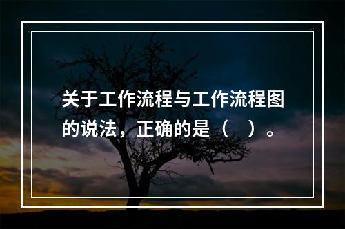 关于工作流程与工作流程图的说法，正确的是（　）。