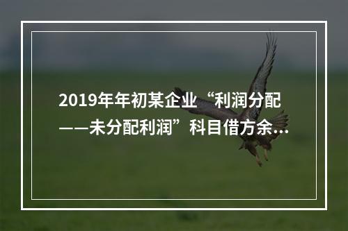 2019年年初某企业“利润分配——未分配利润”科目借方余额2