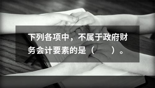 下列各项中，不属于政府财务会计要素的是（　　）。