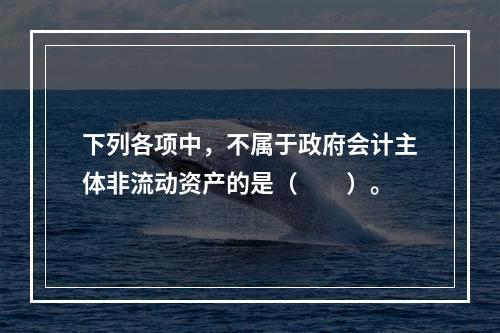 下列各项中，不属于政府会计主体非流动资产的是（　　）。