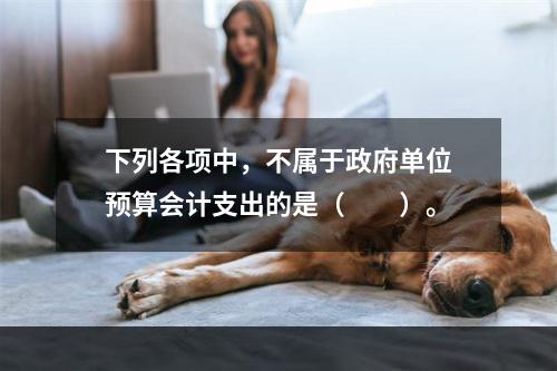 下列各项中，不属于政府单位预算会计支出的是（　　）。