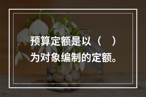 预算定额是以（　）为对象编制的定额。