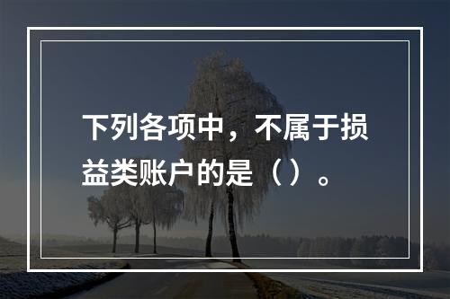 下列各项中，不属于损益类账户的是（ ）。