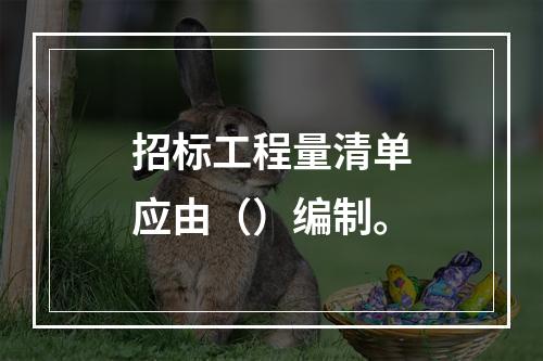 招标工程量清单应由（）编制。