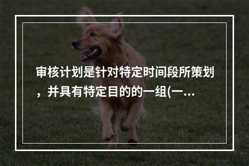 审核计划是针对特定时间段所策划，并具有特定目的的一组(一次或