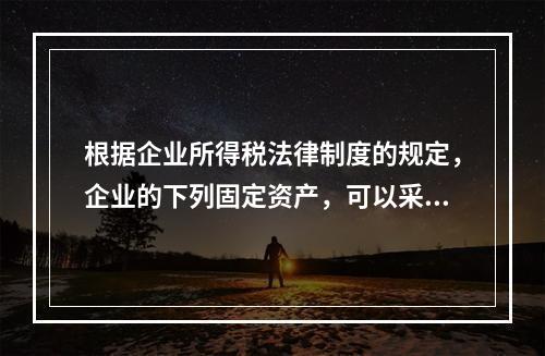 根据企业所得税法律制度的规定，企业的下列固定资产，可以采用加