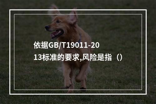 依据GB/T19011-2013标准的要求,风险是指（）