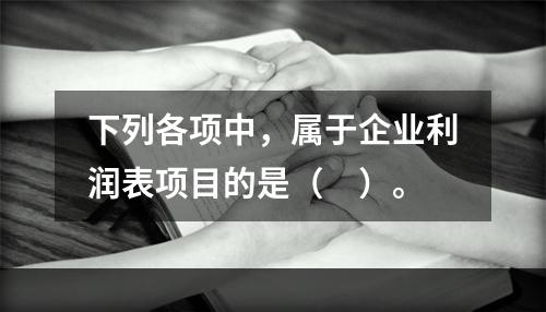 下列各项中，属于企业利润表项目的是（　）。