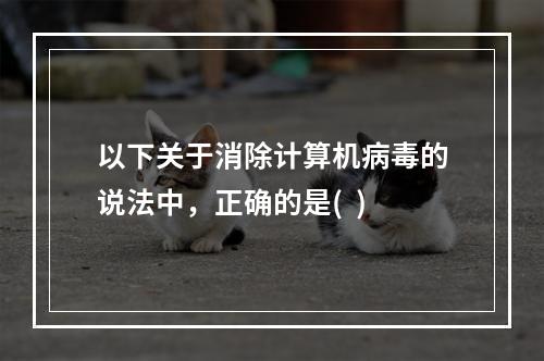 以下关于消除计算机病毒的说法中，正确的是(  )