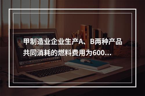 甲制造业企业生产A、B两种产品共同消耗的燃料费用为6000元