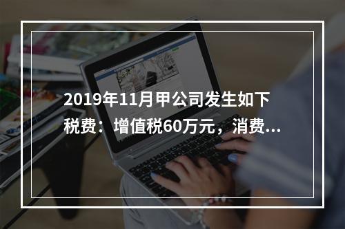 2019年11月甲公司发生如下税费：增值税60万元，消费税8