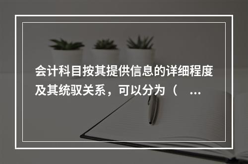 会计科目按其提供信息的详细程度及其统驭关系，可以分为（　　）