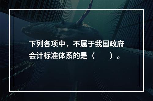 下列各项中，不属于我国政府会计标准体系的是（　　）。