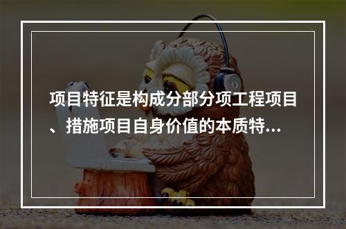 项目特征是构成分部分项工程项目、措施项目自身价值的本质特征。