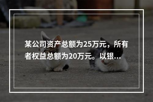 某公司资产总额为25万元，所有者权益总额为20万元。以银行存