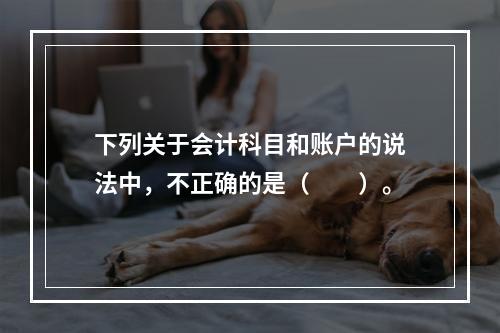 下列关于会计科目和账户的说法中，不正确的是（　　）。