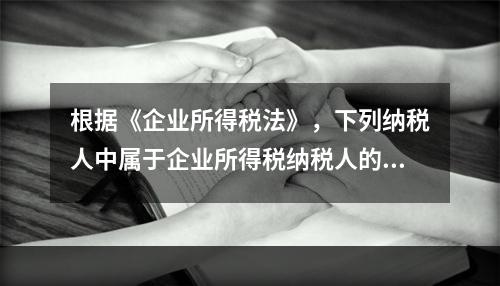 根据《企业所得税法》，下列纳税人中属于企业所得税纳税人的是（