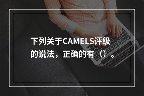 下列关于CAMELS评级的说法，正确的有（）。