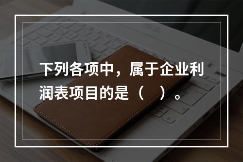 下列各项中，属于企业利润表项目的是（　）。