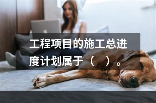 工程项目的施工总进度计划属于（　）。