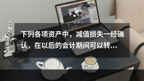 下列各项资产中，减值损失一经确认，在以后的会计期间可以转回的