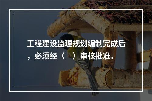 工程建设监理规划编制完成后，必须经（　）审核批准。