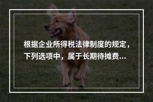 根据企业所得税法律制度的规定，下列选项中，属于长期待摊费用的