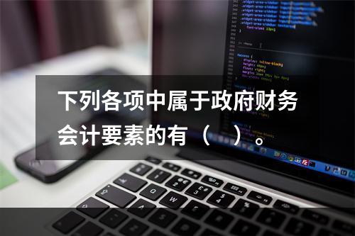 下列各项中属于政府财务会计要素的有（　）。