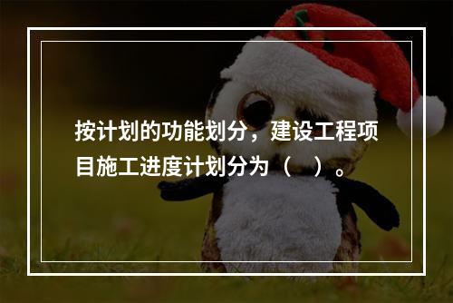 按计划的功能划分，建设工程项目施工进度计划分为（　）。