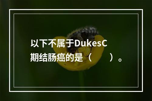 以下不属于DukesC期结肠癌的是（　　）。