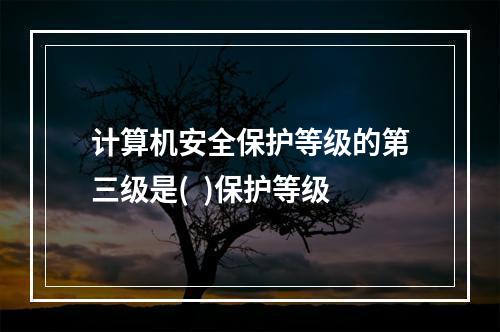 计算机安全保护等级的第三级是(  )保护等级