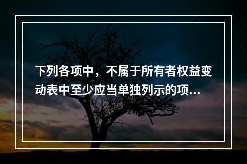 下列各项中，不属于所有者权益变动表中至少应当单独列示的项目是