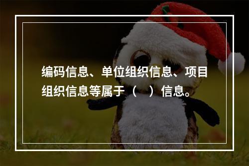 编码信息、单位组织信息、项目组织信息等属于（　）信息。