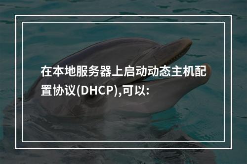 在本地服务器上启动动态主机配置协议(DHCP),可以: