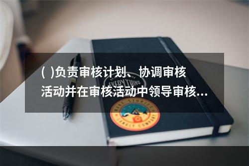 (  )负责审核计划、协调审核活动并在审核活动中领导审核活动