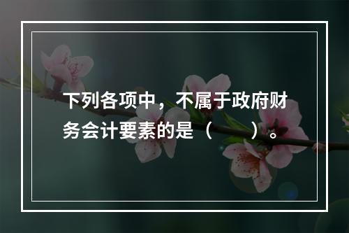 下列各项中，不属于政府财务会计要素的是（　　）。