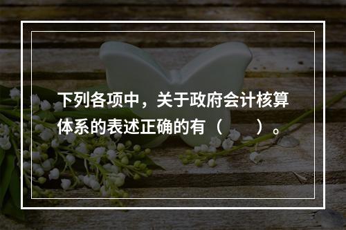 下列各项中，关于政府会计核算体系的表述正确的有（　　）。