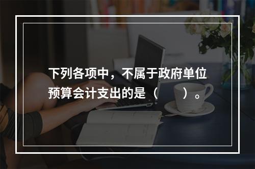 下列各项中，不属于政府单位预算会计支出的是（　　）。