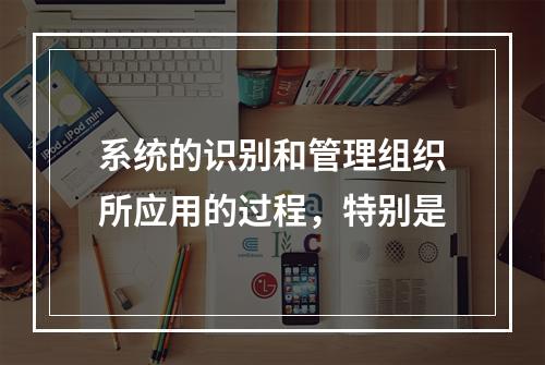 系统的识别和管理组织所应用的过程，特别是