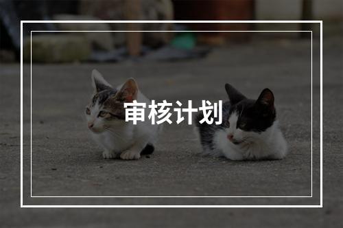 审核计划