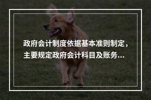 政府会计制度依据基本准则制定，主要规定政府会计科目及账务处理