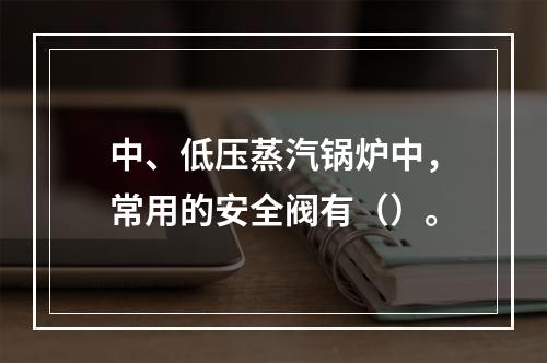 中、低压蒸汽锅炉中，常用的安全阀有（）。