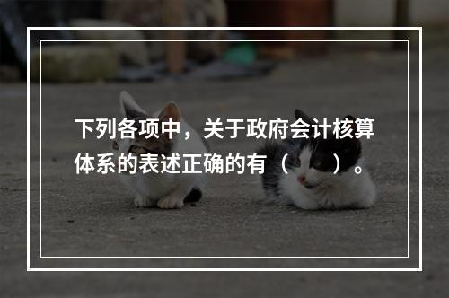 下列各项中，关于政府会计核算体系的表述正确的有（　　）。