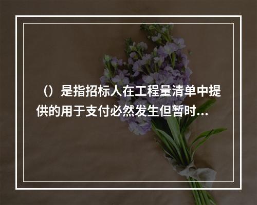 （）是指招标人在工程量清单中提供的用于支付必然发生但暂时不能