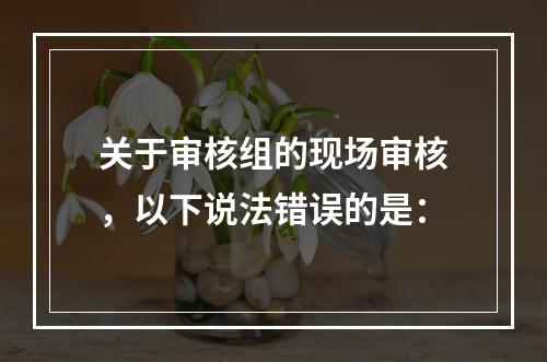 关于审核组的现场审核，以下说法错误的是：