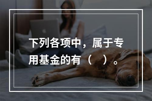 下列各项中，属于专用基金的有（　）。