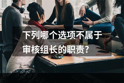 下列哪个选项不属于审核组长的职责?