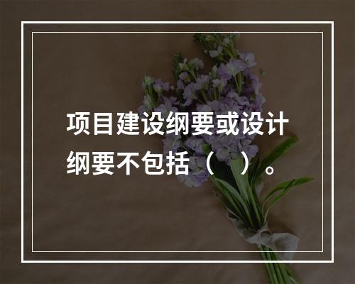 项目建设纲要或设计纲要不包括（　）。