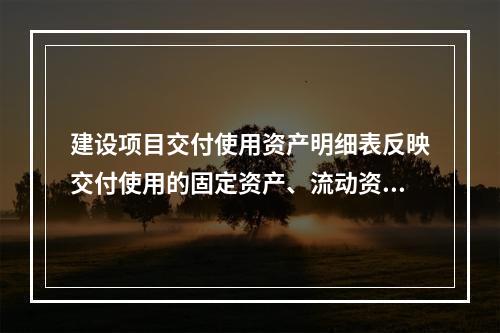 建设项目交付使用资产明细表反映交付使用的固定资产、流动资产、